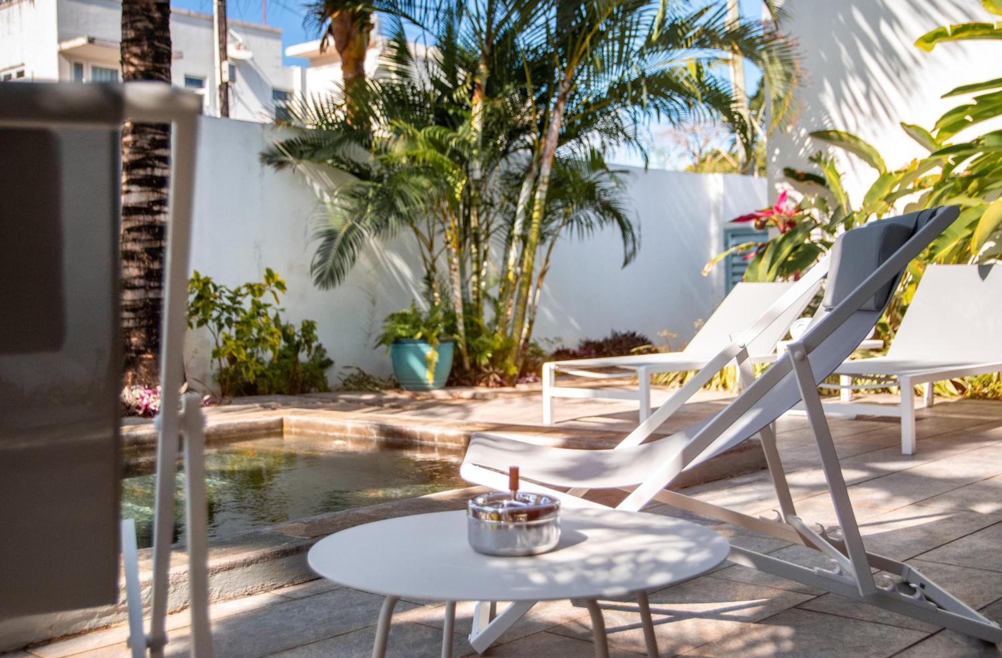 גראנדה באיה Le Mandala Moris Guesthouse Pointe Aux Canonniers מראה חיצוני תמונה